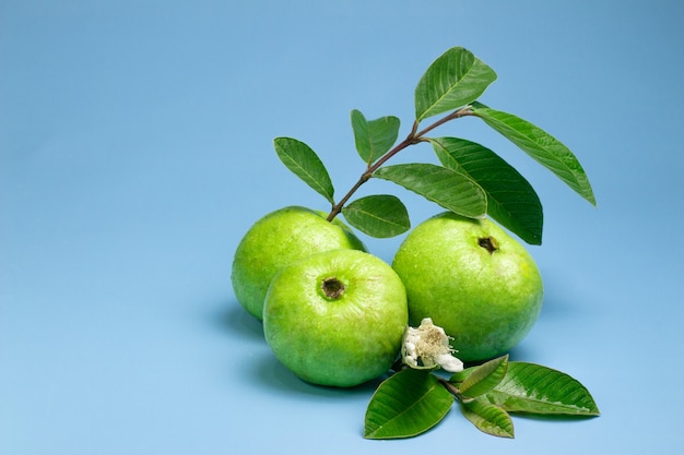 Frutto di guava con foglie su sfondo blu