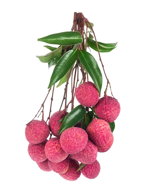 Frutto di litchi isolato su sfondo bianco