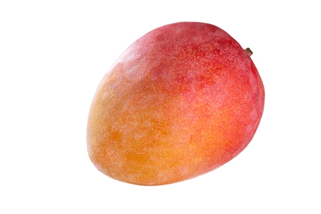 Frutto di mango maturo isolato su bianco