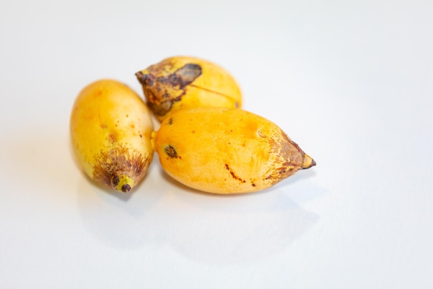 Frutto di palma tropicale maturo raro di frutta esotica di specie botaniche non localizzate
