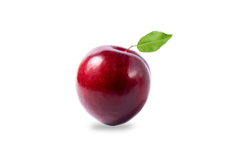 frutto di prugna