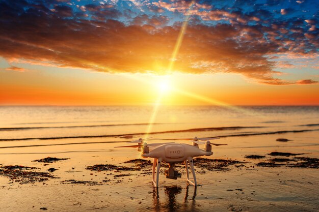 Fuco volante su un tramonto sul mare