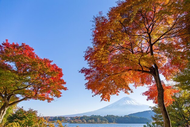 Fuji autunno