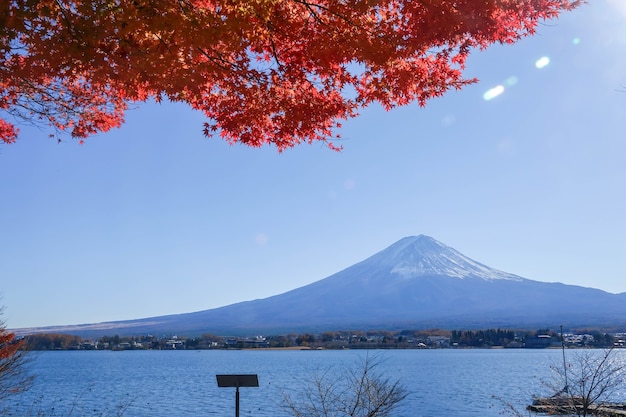 fuji mounta nella stagione autunnale