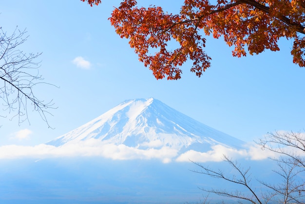 Fujisan (montagna Fuji)