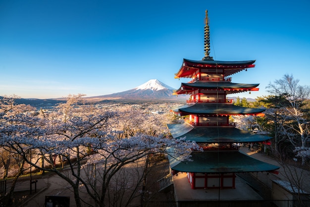 Fujiyoshida, Giappone a Chureito Pagoda e Mt. Fuji in primavera con i fiori di ciliegio in piena fioritura durante l'alba. Concetto di viaggio e vacanza.