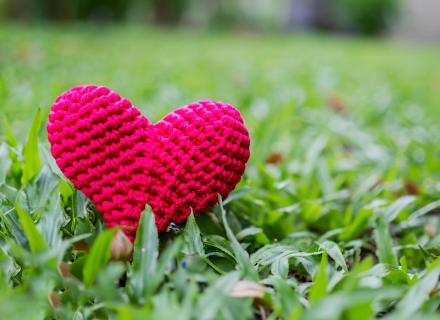 Fumigatore di lana nel cuore rosso del giardino