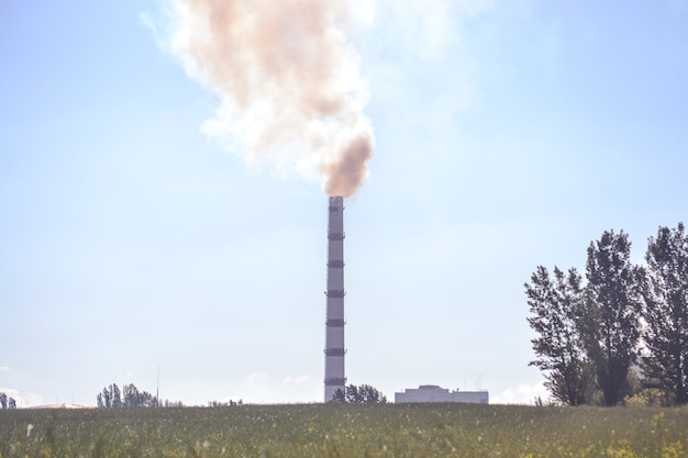 Fumo di fabbrica di tubi nel campo