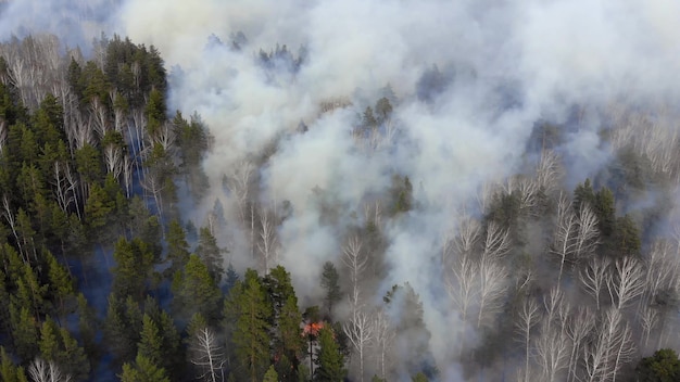 Fumo di vista aerea di incendio.