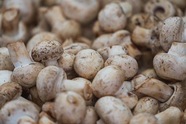 Funghi bianchi puri freschi messa a fuoco selettiva morbida Sfondo con funghi