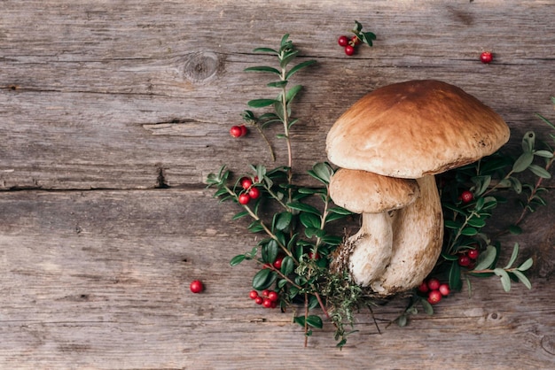 Funghi Boletus edulis e bacche su sfondo di legno Copia spazio Vista dall'alto Cibo biologico forestale commestibile fresco raccolto Funghi porcini Concetto di raccolto autunnale Raccolta di funghi porcini