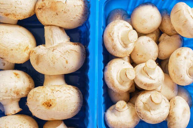 Funghi champignon freschi in imballaggi di plastica da vicino vista dall'alto