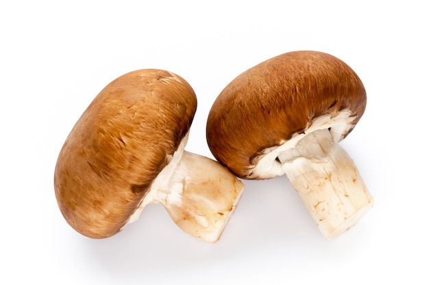 Funghi champignon freschi isolati su bianco