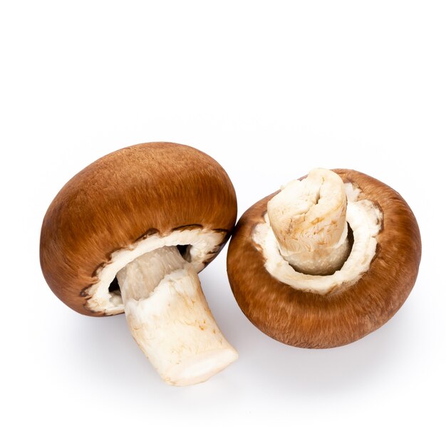 Funghi champignon freschi isolati su bianco.
