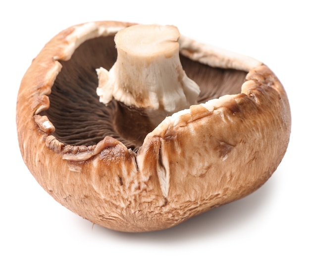 Funghi champignon freschi su bianco