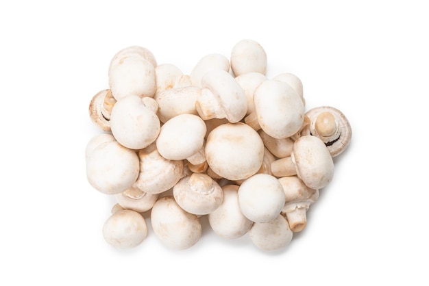 Funghi champignon isolati su bianco