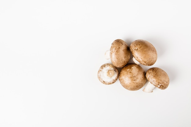 Funghi champignon isolati su sfondo bianco