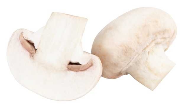 Funghi champignon isolati