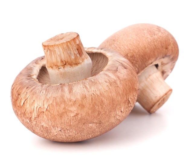 Funghi champignon marroni