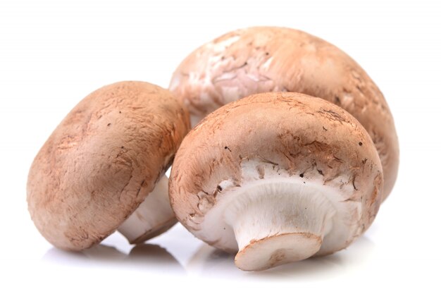 Funghi champignon su un bianco