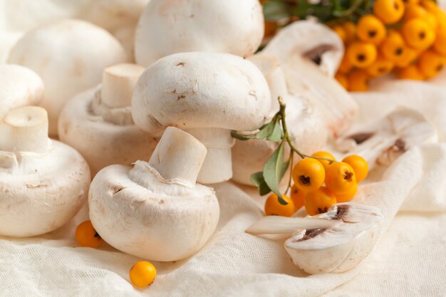 Funghi champignon