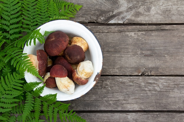 Funghi del boletus su una vecchia tavola di legno