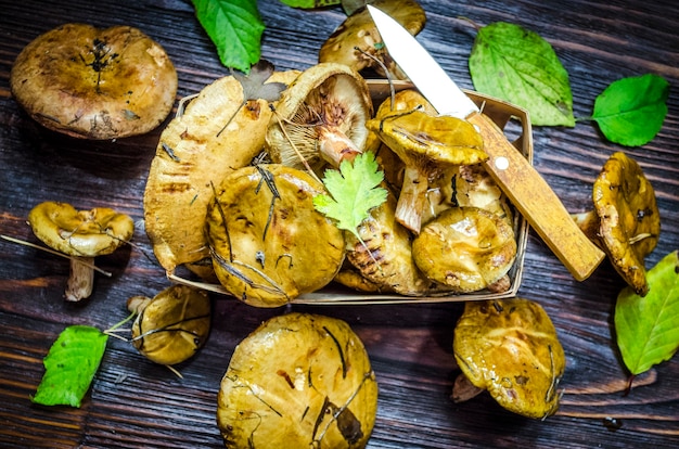 Funghi di bosco appena raccolti e non pelati sotto il tavolo