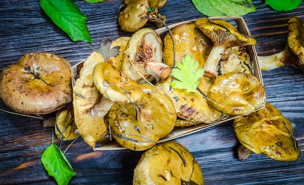 Funghi di bosco appena raccolti e non pelati sotto il tavolo