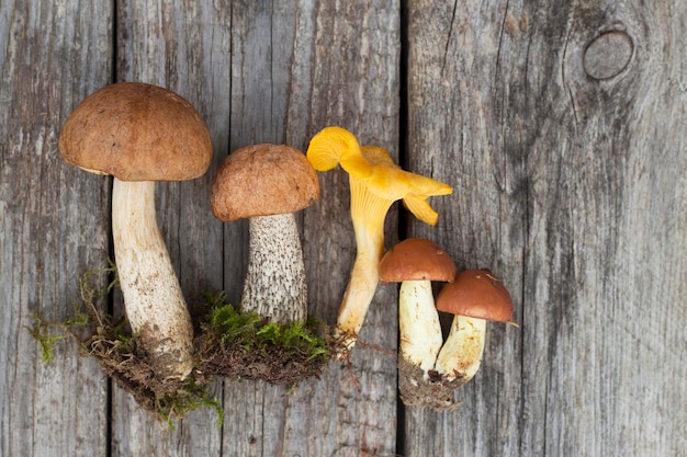 funghi di bosco freschi su un tavolo di legno