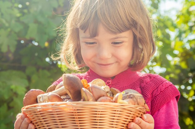 Funghi di bosco nelle mani di un bambino. Messa a fuoco selettiva