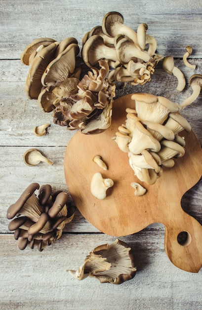 Funghi di ostrica su fondo di legno. Messa a fuoco selettiva