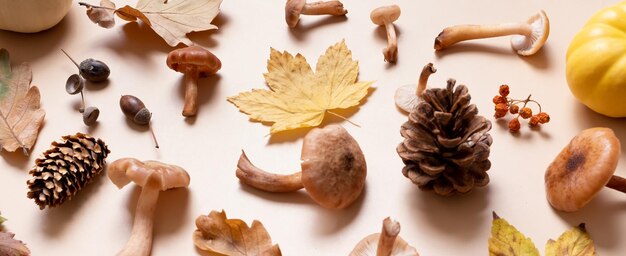 Funghi di zucca e foglie d'autunno su sfondo beige Autunno still life