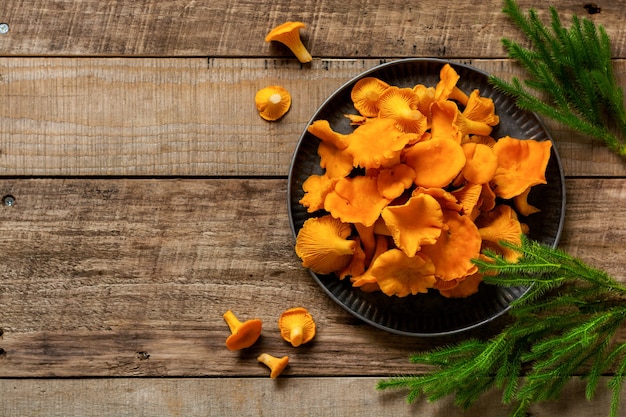 Funghi finferli in una ciotola di ferro retrò e muschio di foresta su un vecchio fondo di legno.