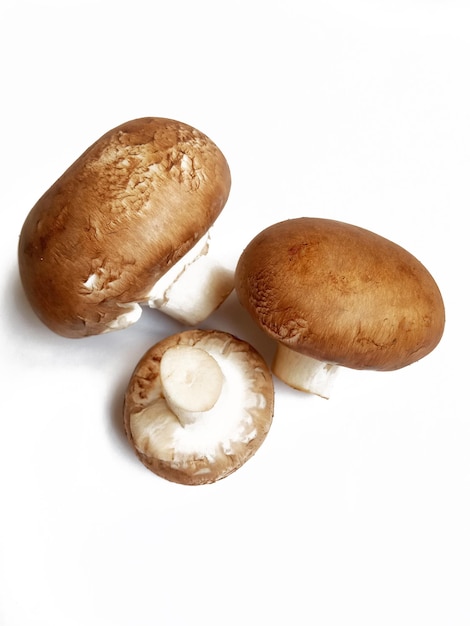 funghi freschi. champignon, ingredienti per cucinare