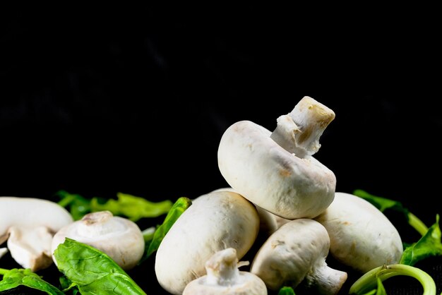 Funghi freschi con verdure su sfondo nero