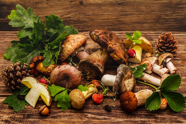 Funghi freschi di bosco. Porcini assortiti, porcini, russula, fard, foglie di quercia, fragole