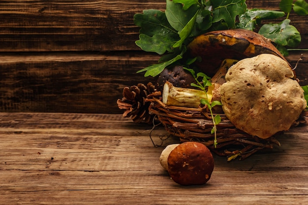 Funghi freschi di bosco. Porcini e porcini gourmet assortiti, foglie di quercia