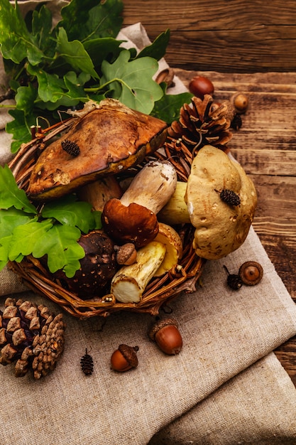 Funghi freschi di bosco. Porcini e porcini gourmet assortiti, foglie di quercia