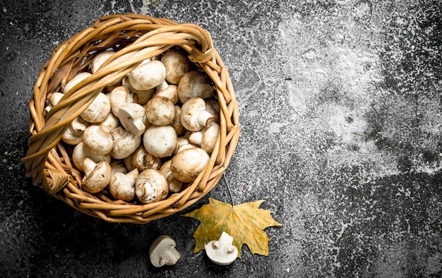 Funghi freschi in un canestro.