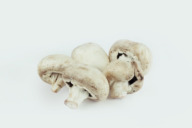 Funghi freschi isolati su una foto di sfondo bianco con spazio di copia