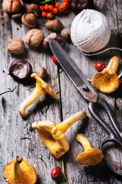 Funghi gallinacci con vecchie forbici