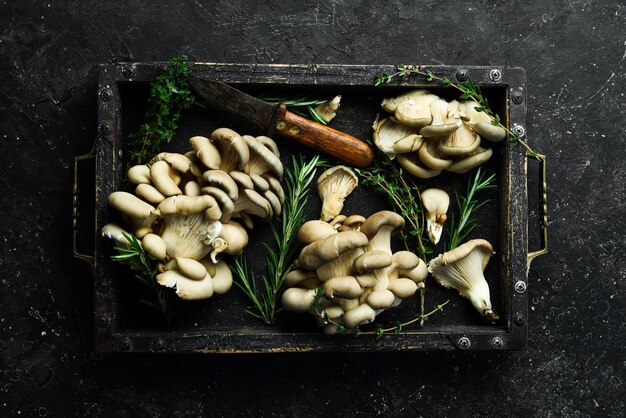 Funghi Maitake organici crudi in una scatola di legno su un tavolo di pietra Vista dall'alto