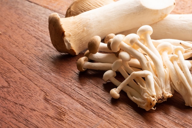 Funghi organici misti sulla tavola di legno