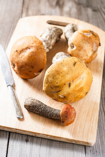 Funghi porcini alla bolognese