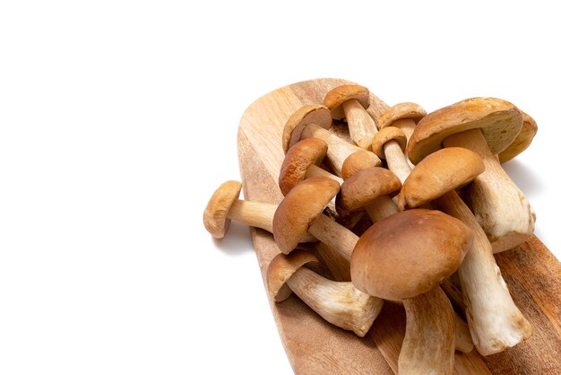 funghi porcini con cappuccio marrone su un tagliere