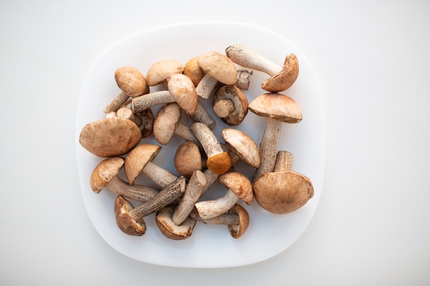 Funghi porcini crudi freschi in piatto bianco su fondo bianco.