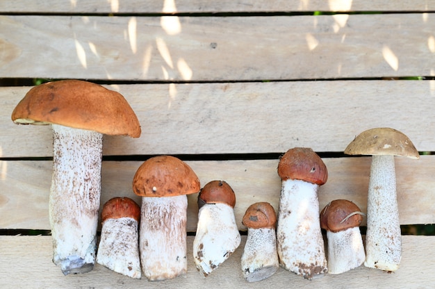 funghi porcini della foresta su un fondo di legno