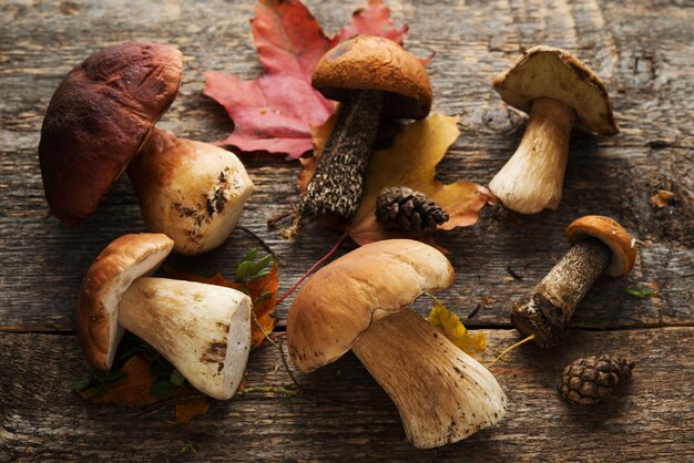 Funghi porcini di bosco su legno rustico