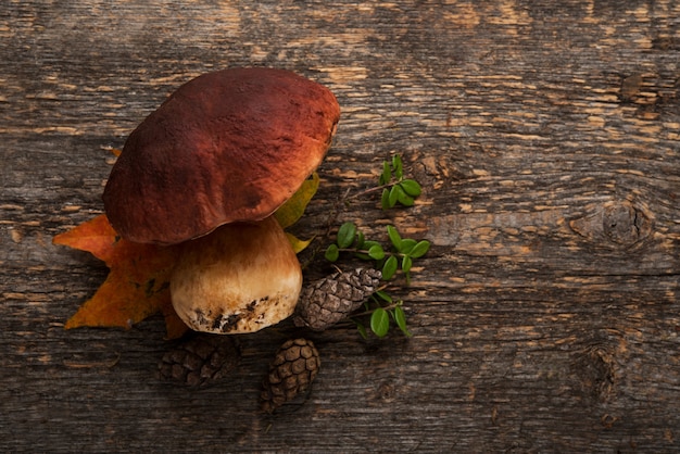 Funghi porcini di bosco su legno rustico
