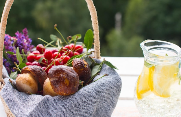 Funghi porcini e frutti di bosco in cesto Raccolta